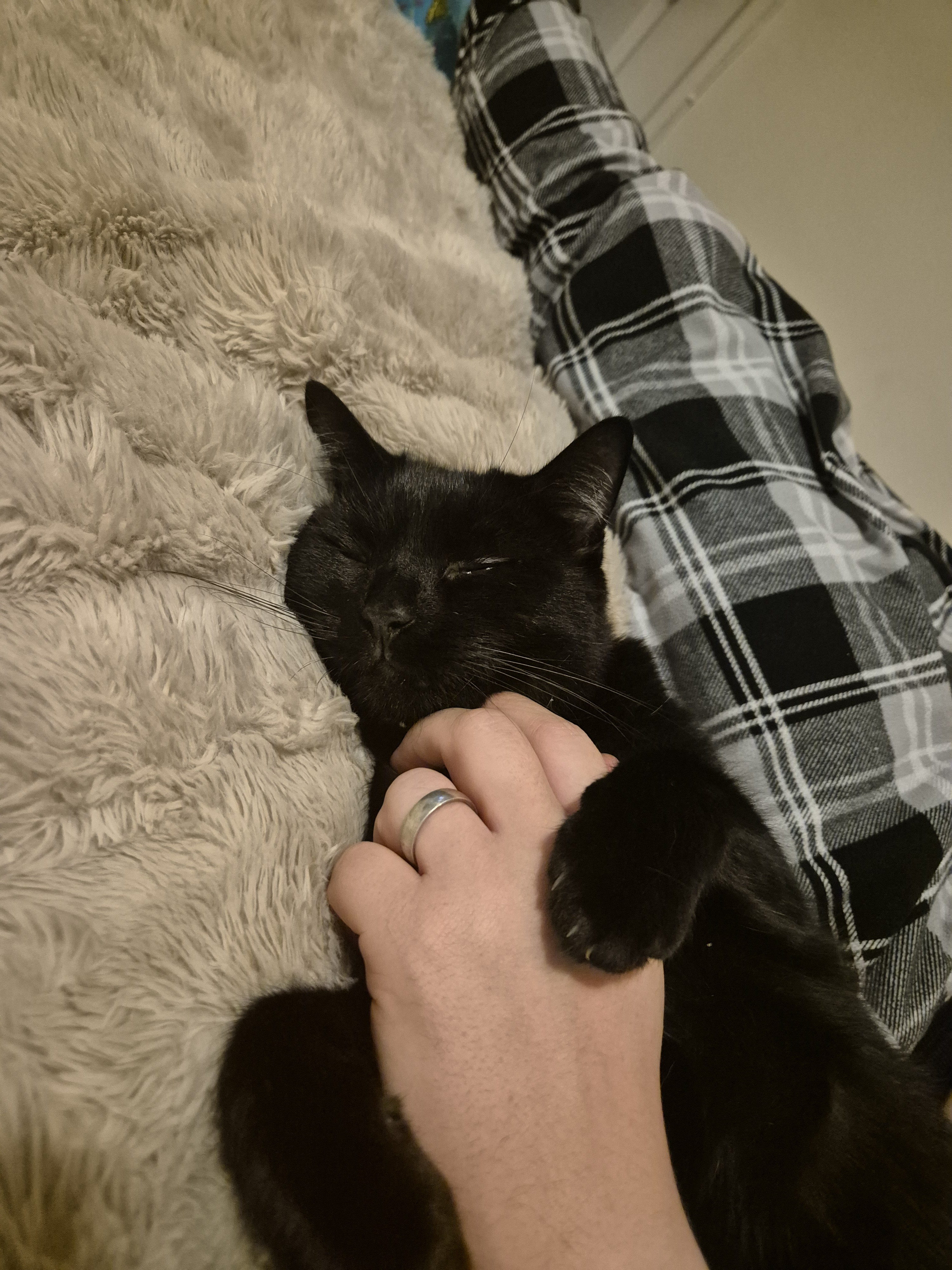 Tyson