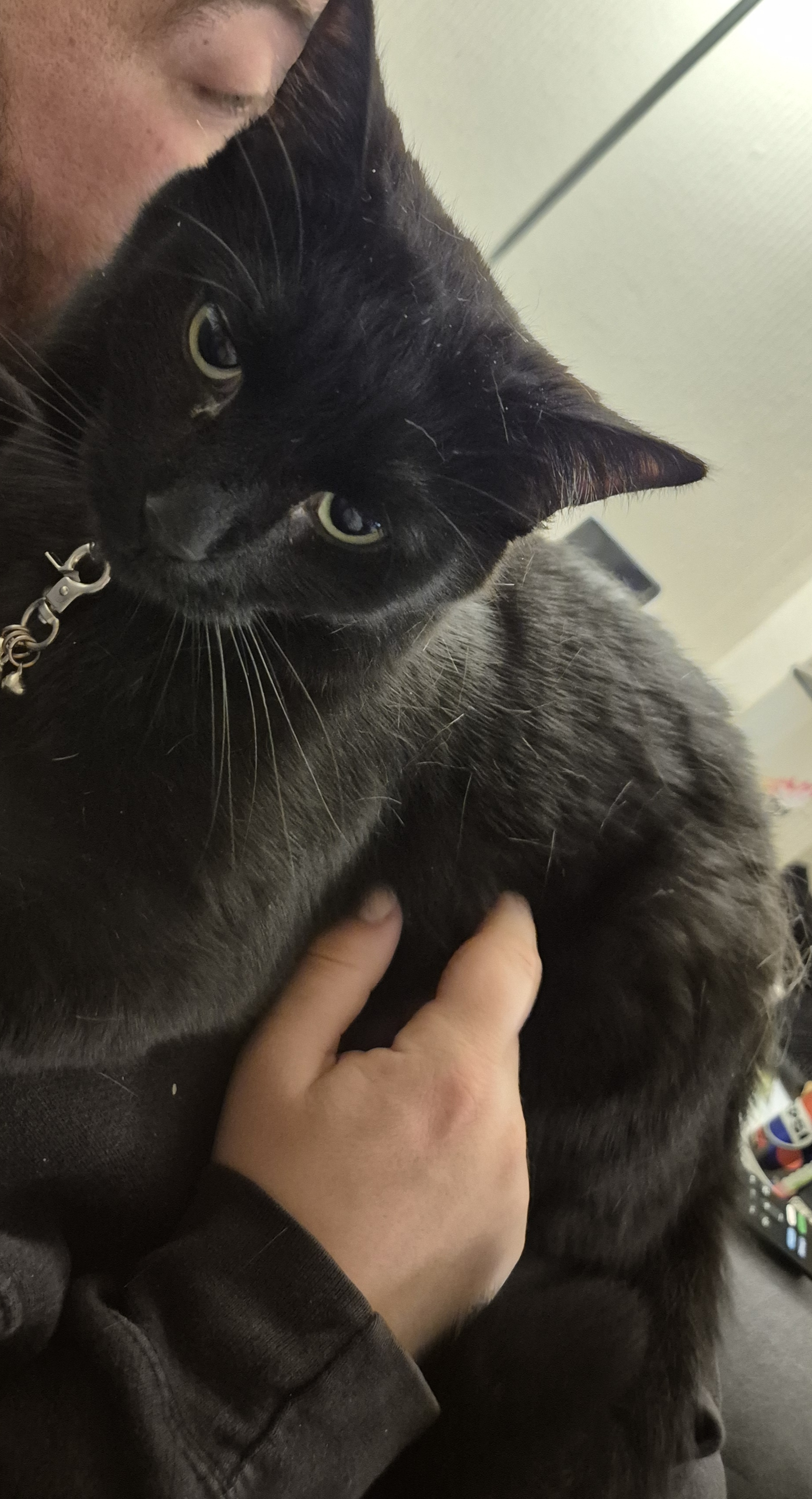 Kevin