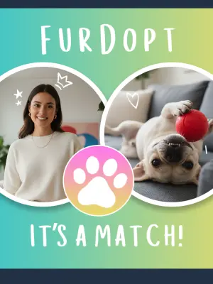 dog adoption choosing the right pet UK