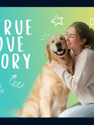 Why So Many Good Dogs Get Overlooked in Adoption - And How the Right Match Changes Everything